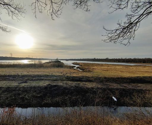 Naturschutz Gebiet Neudorf