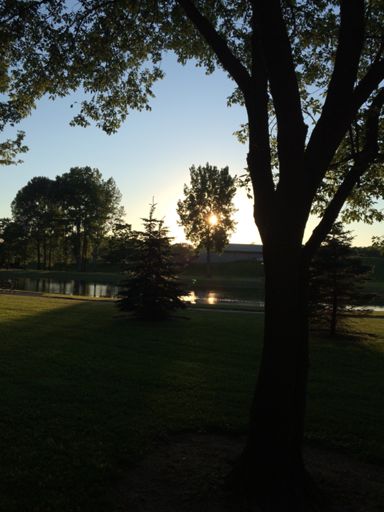 Tried for a recovery ride