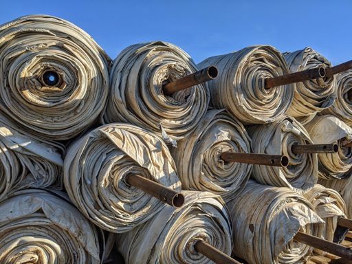 Spargelstangen mit Durchblick