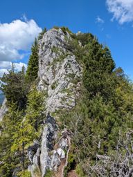Chöpfenberg Tierberg