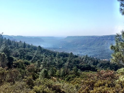 Oh yeah I got a ride up the canyon as well