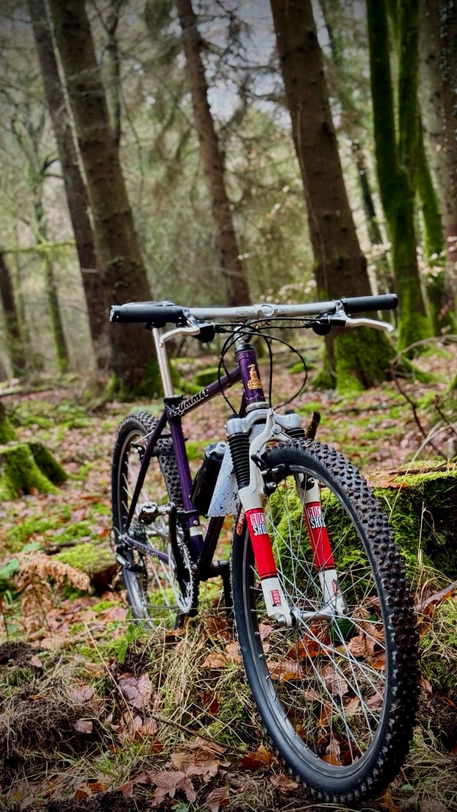 Forest of Dean on the retro bikes with a combined age of 78 years young we done pretty well 