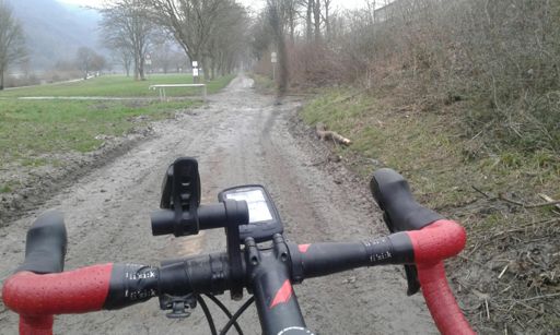 Reste vom Moselhochwasser in Enkirch