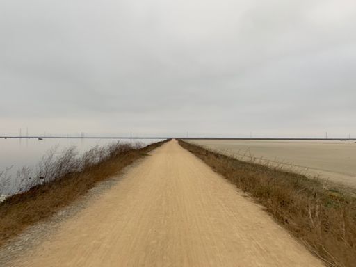 Moffett section of bay trail. Overcast all morning so no sunrise. Lots of bike commuters and many with masks for the bugs.