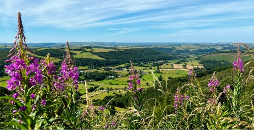 From above Banc yDarren