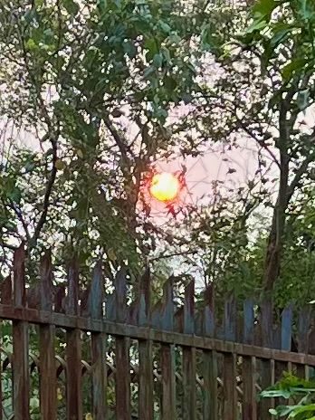 Blood Red Morning Sun with AQI180