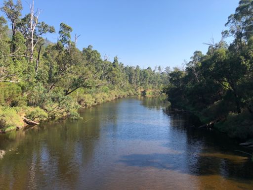 Blackwood River nr Linga-Longa bike park