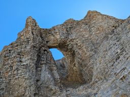 Tête de Lapras et la Cavale par le Nid