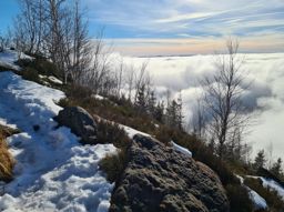 Un petit Donon avec de la neige, du soleil et une mer de nuages SVP