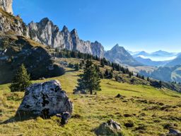 Non tour des Morteys