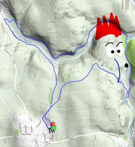 Ja ein Hähnchen gelaufen. Gibt aber was anderes zum Essen.