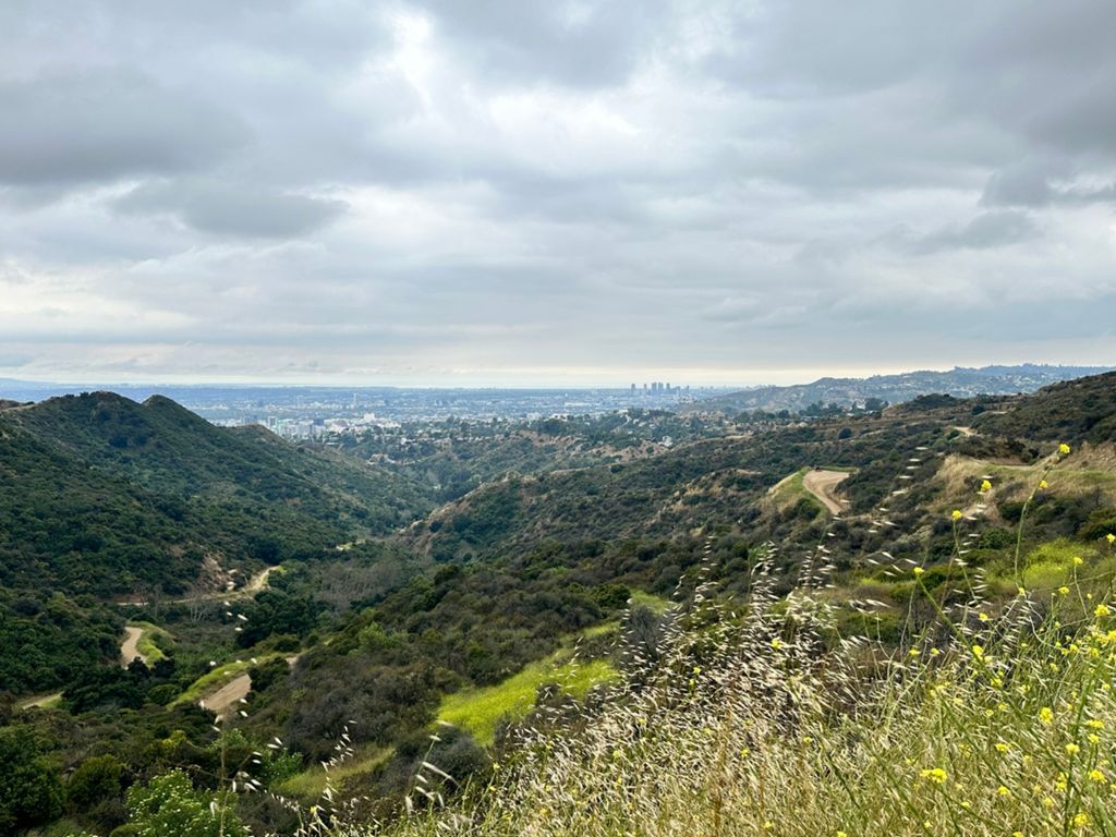 NBB run - Lake Hollywood photo 82