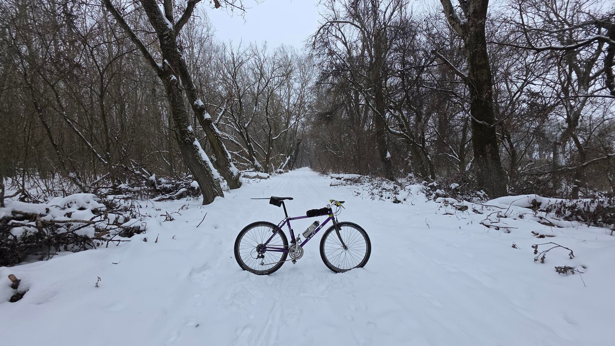 ukvueK-oLQhIeCZrEMcpv6qICoYGuaAdN_YWFVLb