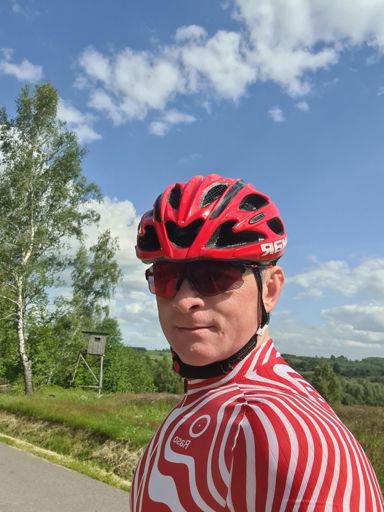 Czerwona zebra na wolności 😆