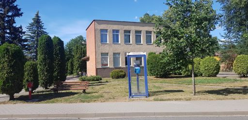 Though they were extinct by now