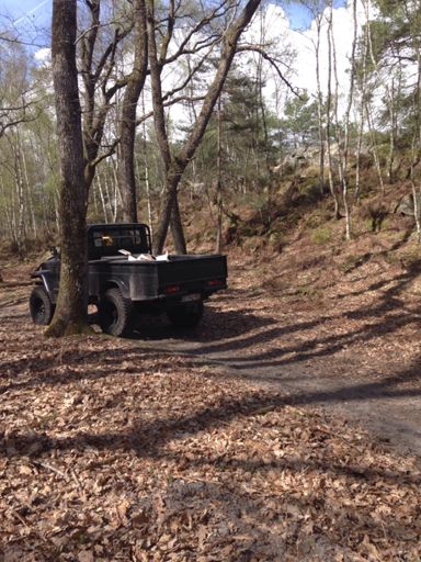 Tous sa pour retiré une branche d'arbres qu'on peut virer a la mains