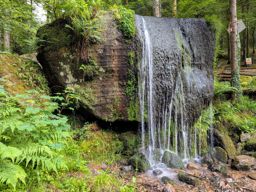 Cascade des Molières et Sapin sec