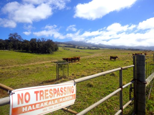 Haleakala Ranch
