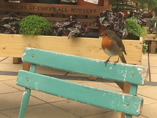 Robs was very chirpy today