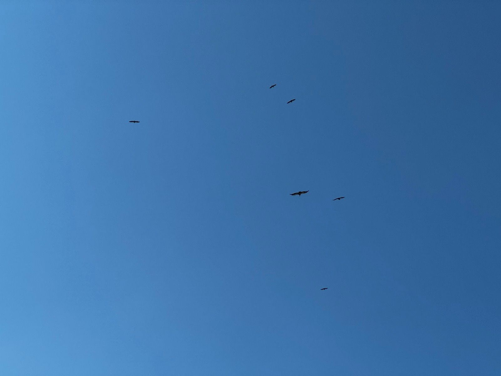 Ride Image 12