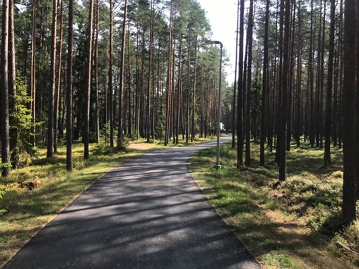 Best bike path of the year