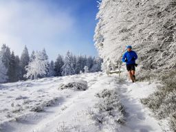 Trotte blanche au Gazon du Faing