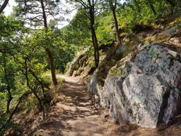 Rando familiale à Ribauvillé