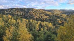Sortie VTT dans l’après-midi