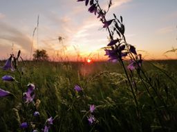 Pour prendre l’air