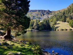 De belles couleurs sur les crêtes