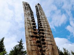 Entre Moussey et la Chatte pendue