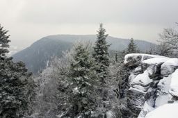 Wackenbach à la chatte pendue