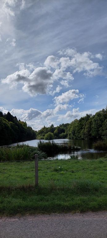 Raffpark Wood lake, the other side of the road from the path leading to the castle