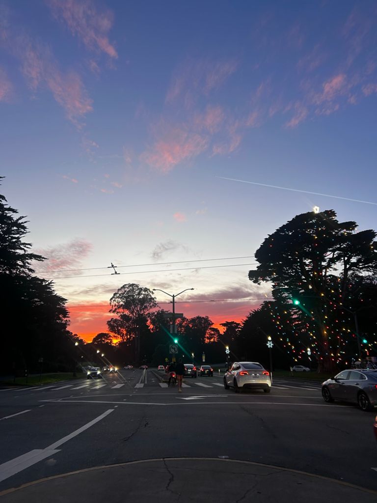 Butterlap (Presidio & Golden Gate Park)的照片 25