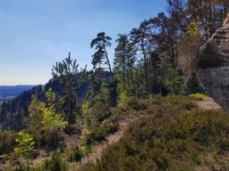 Petit tour dans la côte de Repy