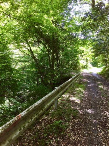 MASUDAから東へ抜ける道はグラベルだった