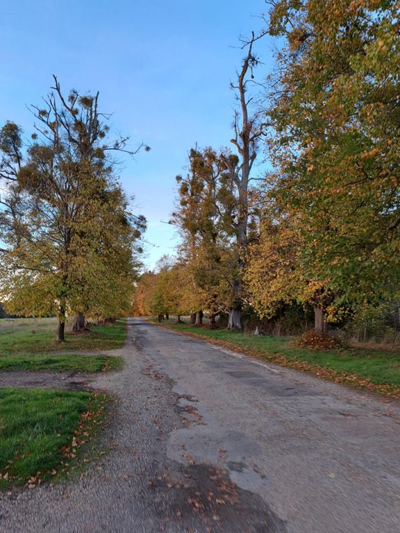 Cherry Lane Long Melford SSR 55.3 mi Cycling Route on Strava