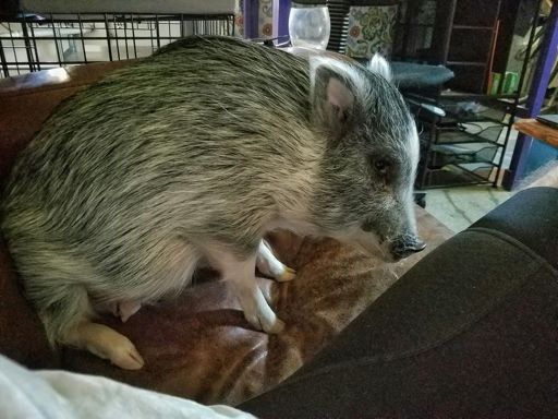 Kevin sitting because, well that's funny.