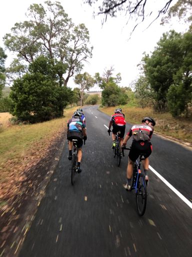 #HeadCheckBeforeAttackFane?