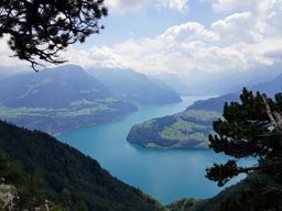 Rando Rigi Hochflue par sentier alpin