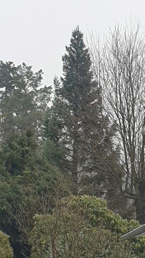 Kelkheim (Taunus)_ID23809_BM_Am Wolfes 21