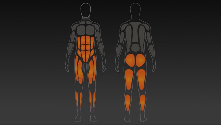 Yeeettttsssssssss🦭