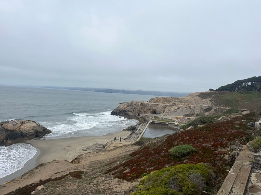 Butterlap (Presidio & Golden Gate Park) photo 103