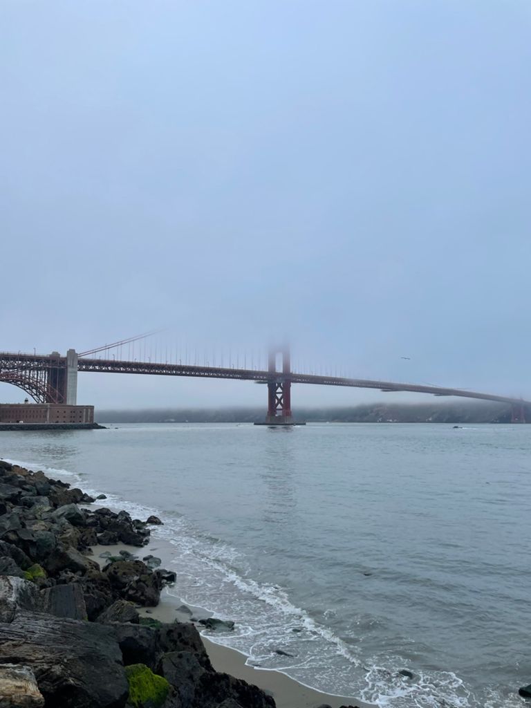 Butterlap (Presidio & Golden Gate Park) photo 141