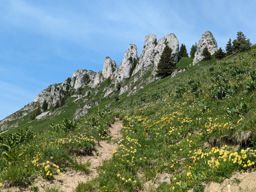 Dent et Roc d’Oche