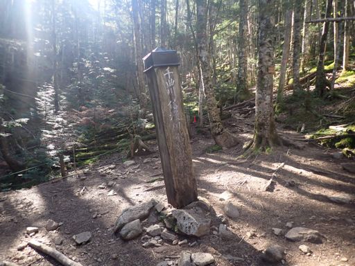 甲武信岳までは千曲川（信濃川）の源流沿いを遡って登りました。