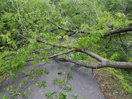 Guess I'll find a different route.