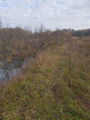 Пруд до краёв