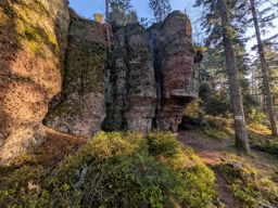 Tour dans forêt de Taintrux avant la séance d’escalade