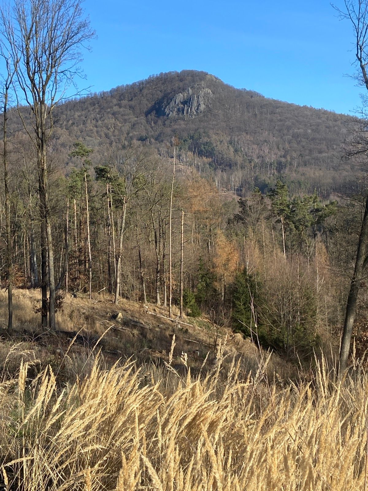 Sedlo z úbočí Mlýnského vrchu